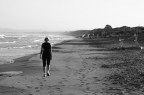The beach The beach