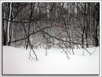 Neve a Monte Pennino Neve a Monte Pennino