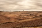 "Terre" Toscane2