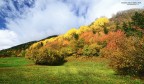 AUTUNNO 2 AUTUNNO 2