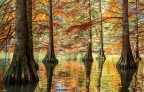 lago lago