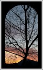 Venature Venature