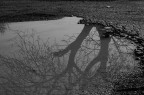 riflesso riflesso