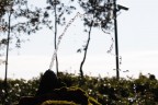Lo zampillo d'acqua Lo zampillo d'acqua