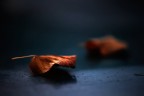 L'autunno L'autunno