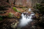autunno autunno