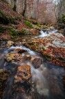 autunno 2 autunno 2