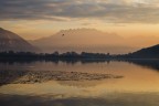 Alba sul lago di Alserio