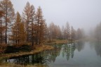 Triste Autunno Triste Autunno