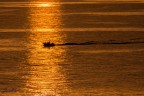 Calda solitudine Calda solitudine