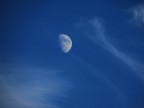 LunaDay LunaDay