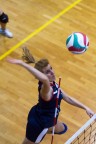 Volley Volley