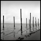 FP4 6x6