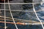 Intrecci di corde in mare...