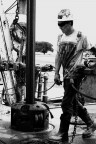 Duro lavoro... Duro lavoro...