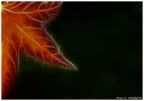visione alternativa sull'autunno visione alternativa sull'autunno