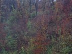 colori d'autunno colori d'autunno