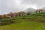 Nebbia sull'altipiano.