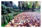 morbido tappeto autunnale