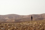 Nel deserto... Nel deserto...