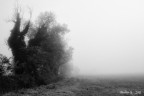 ottobre
