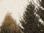 Cambio di stagione Cambio di stagione