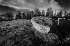 Stones Stones