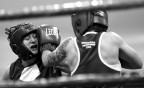 Boxe 5 Boxe 5