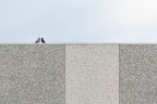 geometrie abitate geometrie abitate