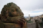 Assisi Assisi