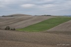 orciano paesaggio 2 orciano paesaggio 2