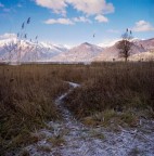 Hasselblad 500 cm
Fuji Reala 160
Tetenal C41