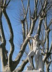 L'ultima foglia