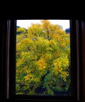 Dalla finestra: l' Inverno a colori Dalla finestra: l' Inverno a colori