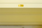Yellow 7 Yellow 7