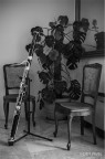 Legno in varie forme Legno in varie forme