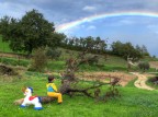 looking at the rainbow