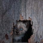 scoprendo il mondo ...