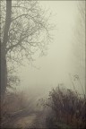 0271 0271