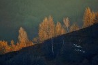 L'ultima luce.