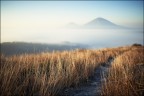 Colli Euganei. Nebbia in pianura.