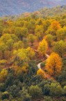 Ultimi colori d'Autunno Ultimi colori d'Autunno