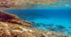 Sardegna