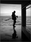 Il collega