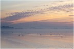 I colori dell'alba