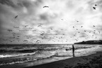 gli uccelli lo sapranno che gli uomini non volano? gli uccelli lo sapranno che gli uomini non volano?