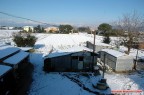Campagna pisana innevata Campagna pisana innevata