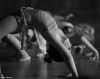 danza danza