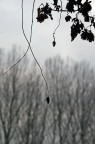 Fragile Fragile
