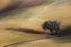 _y2b1190 _y2b1190